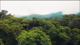 Star Vs Food Survival - Season 01 Episode 04